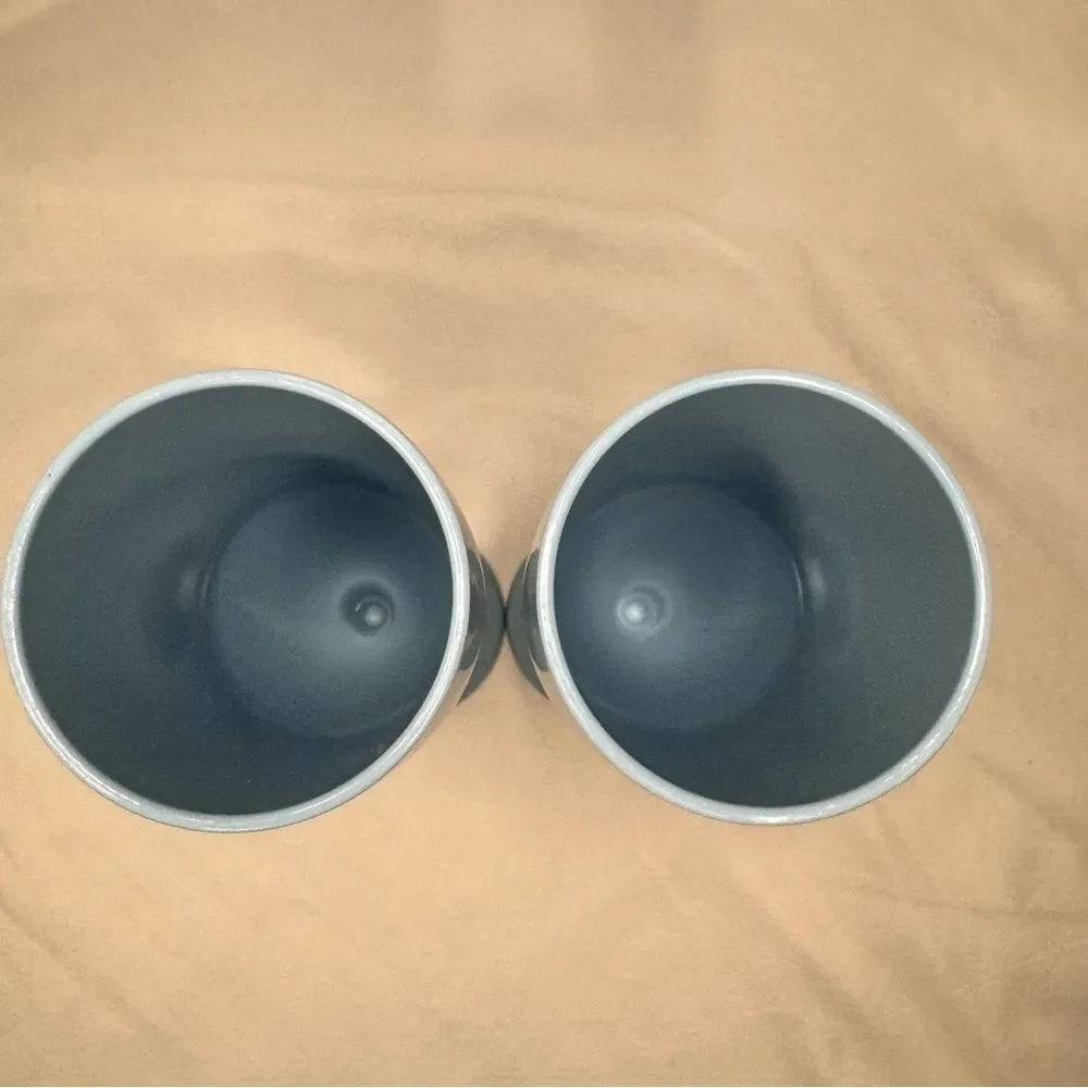 Dusty Blue Champagne Flute Wine Glass Set